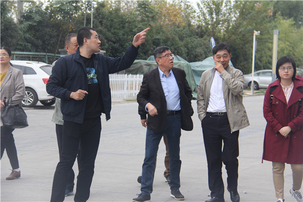 百代軟石考察生產(chǎn)廠 百代軟石考察生產(chǎn)廠